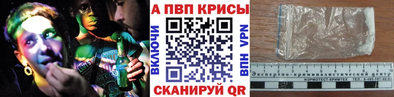 ОМГ ОМГ tor Черкесск Alpha PVP крисы CK
