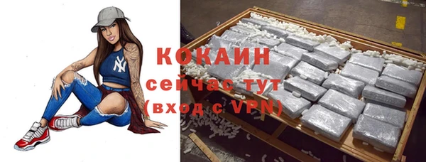 гидра Верхний Тагил