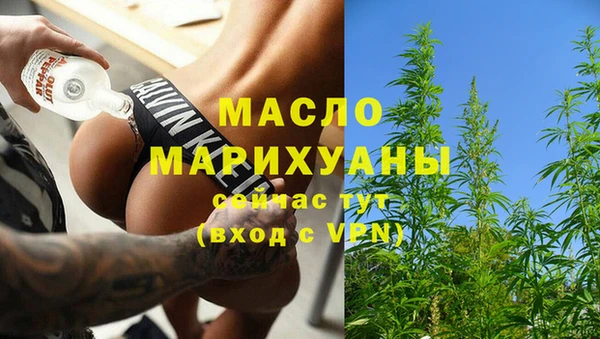 гидра Верхний Тагил