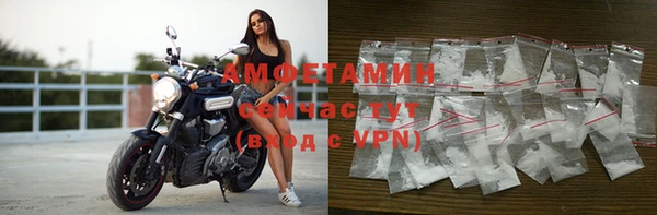 индика Володарск