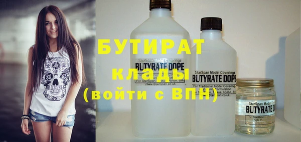 индика Володарск