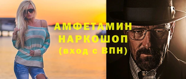индика Володарск