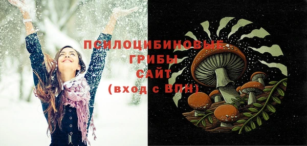 индика Володарск
