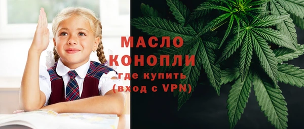 индика Володарск