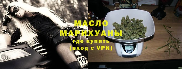 гидра Верхний Тагил