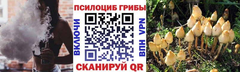 Псилоцибиновые грибы мицелий  продажа наркотиков  Черкесск 